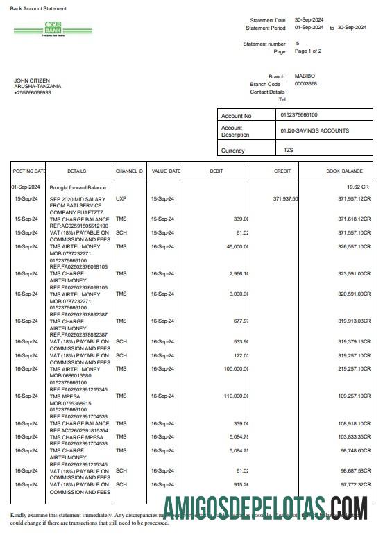 Extrato bancário CRDB da Tanzânia de 3 a 6 meses em Word e PDF modelo de exemplo